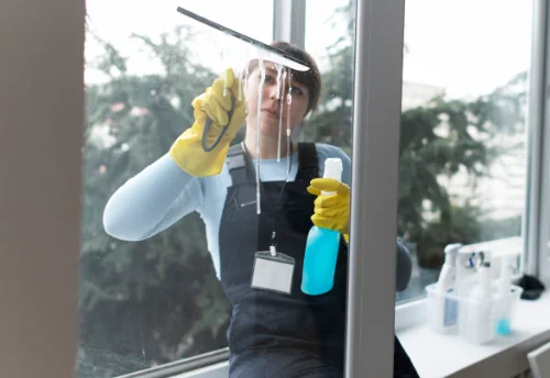 Nettoyage de vitres intérieures et extérieures à Eycheil